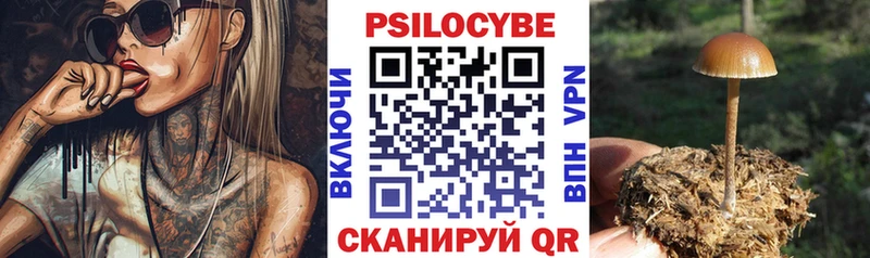 Купить Слюдянка Галлюциногенные грибы ЛСД